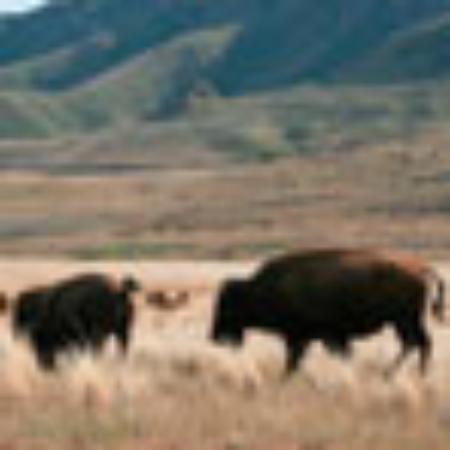 Pinho's Bakery & Deli